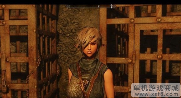 上古卷轴5油光皮肤1